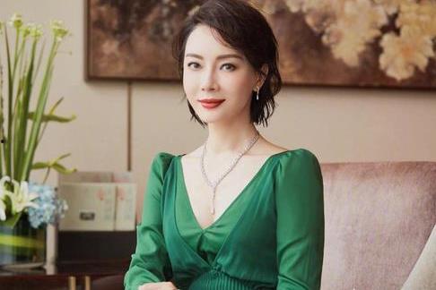 陈数最新爆料视频,揭秘演艺圈幕后故事