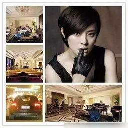 曾先生最新爆料,揭秘娱乐圈最新内幕