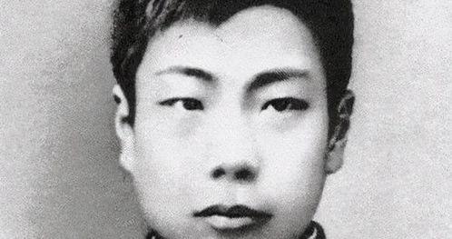 鲁迅最新爆料事件视频播放,揭秘背后真相