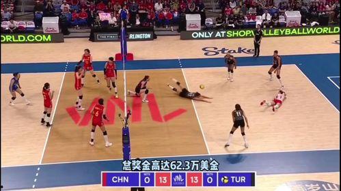 中国排球爆料视频最新,揭秘赛场幕后风云