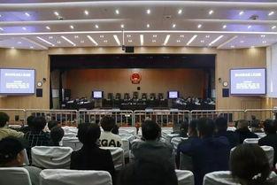 唐山涉黑最新爆料,揭秘黑恶势力新动向