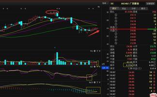 广田股份爆料最新消息,揭秘公司重大动态与未来战略布局