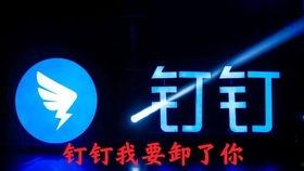 最新国际服爆料吧百度,揭秘游戏新内容与更新动态