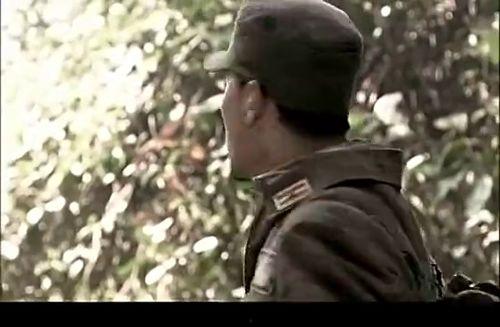 杨文军最新爆料,娱乐圈惊人内幕大曝光！